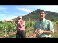 Ejemplo de cooperación. Enonatura y Smart Viticulture