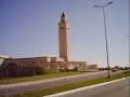 Mosque of Carthage_Karthago Moschee Mosque of Carthage_Karthago Moschee