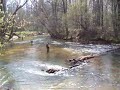 Soque River Property