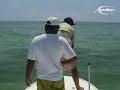 Fishing in Cuba (tarpon) Fishing in Cuba (tarpon)
