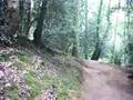 videos de Danbury Common Back Run Drop To Kicker