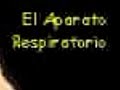 Aparato respiratorio