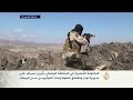 المقاومة تسيطر على مديرية لودر بأبين -Views : 3