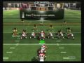 Arizona Cardinals vs Pittsburgh Steelers (bluepointfly)