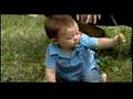 Weston A Price Foundation - Educational Television