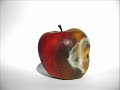 Rotting Apple