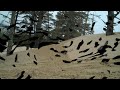 Sand Dune hill climb.
