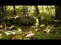 Hassel Movie Teaser