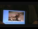 Animals in Yiddish 2, animales en yidish 2, חיות אױף ייִדיש