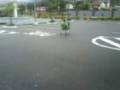videos de Bacin dormindo no estacionamento