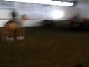 Reiny My Best Cow Girl