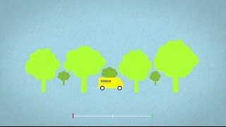 Video image
