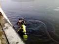 Duikers onder het ijs in Thoolse haven