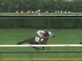 スペシャルウィーク 3歳新馬戦