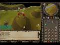 r 4 p 1 d z vs purple 0wnz
