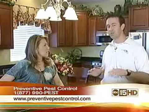 how to treat a scorpion sting in oklahoma