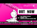 Cerf, Mitiska & Jaren - Beggin' You (Armin van Buuren Remix) (ARMD1072)