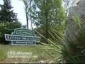 Stone Mountain Golf Package