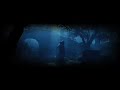 a video that i made around the poem 