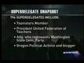 Dan Abrams - Democratic Superdelegate System