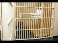 videos de Vincent Doan / How Did You Get This Way?
