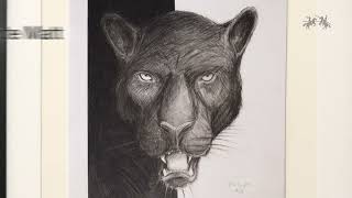 Faber-Castell 115212, scatola 12 matite pitt grafite opaca, 12B, nero