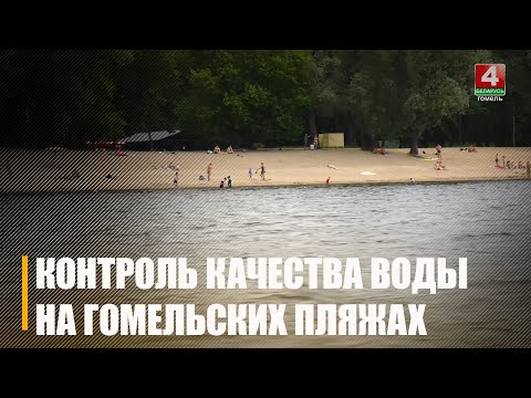 Узнали у эпидемиологов Гомельщины, можно ли подхватить инфекцию на пляже видео
