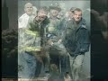 9112007