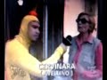 cervinara cane abbandonato