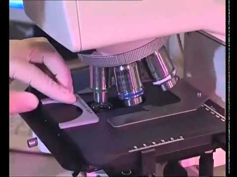 Видео: Медицинский центр МирА в Москве