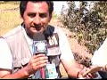 BALANCAN TABASCO. POSIBLE PANTEON PREHISPANICO SE ENCUENTRA A ORILLAS DEL RIO USIAMCINTA EN EL EJIDO TIERRA BLANCA DEL MPIO. DE BALANCAN TAB.