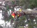 Arborist