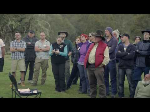 Improving the Health of Parks