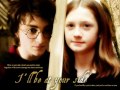 Harry & Ginny: Photo Album