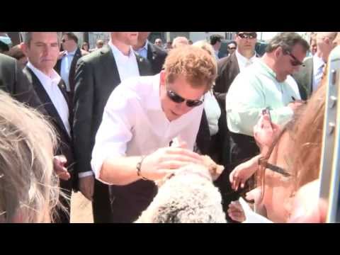 harry - A sea of people were on hand to greet Prince Harry who was given a tour by Gov. Chris Christie to the Sandy-battered Jersey Shore towns of Mantoloking and Se...