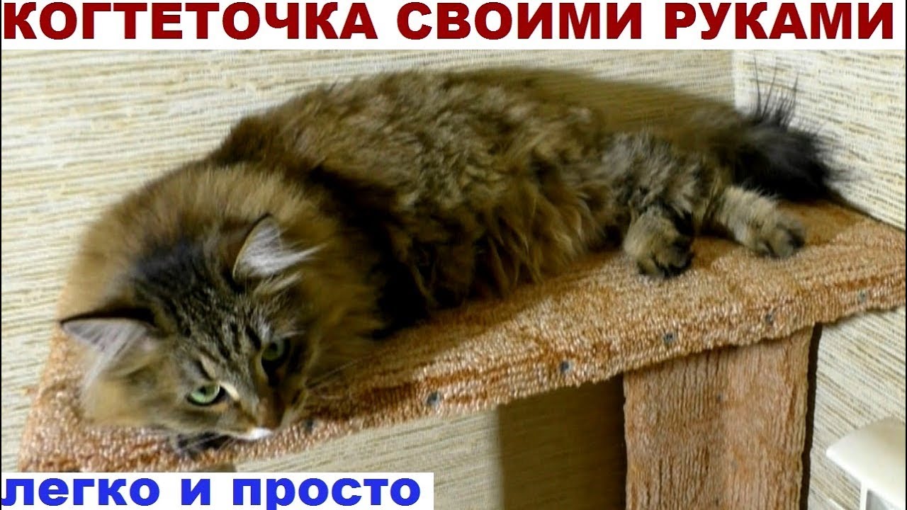 Когтеточка для кошки своими руками