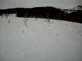 Sledding in Elkford