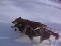 dog sledding in seeley lake, mt pt 3 dog sledding in seeley lake, mt pt 3