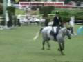 videos de Must Saint Aubin - Royan CSI*** - 1er Tour - 2008