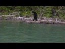 Alaska Vacation Photos: Animated