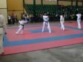 Z figuras taekwondo