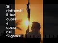 grazie giovanni paolo ii