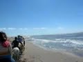 French beach horse ride