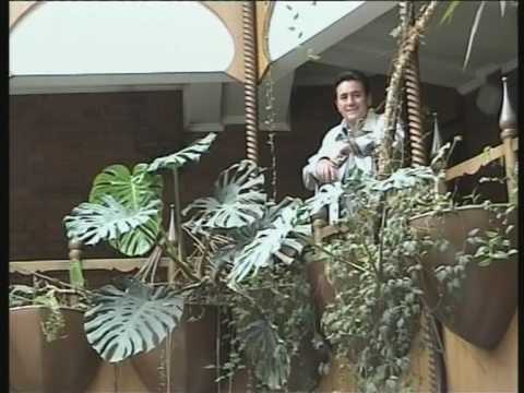 Sidik