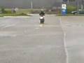 videos de stunt a vienne