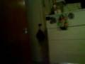 videos de MOV03009.3GP
