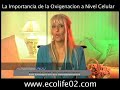 patrocinadores de teleunionlatina#1