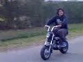 dax whelie dax whelie
