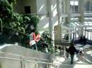 Renton walking down an up elevator at Anime Boston Renton walking down an up elevator at Anime Boston