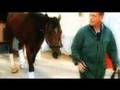 HRTV presents Inside Information - Barbaro